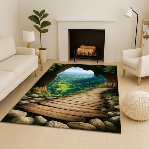 3D Optical Illusion Area Rug