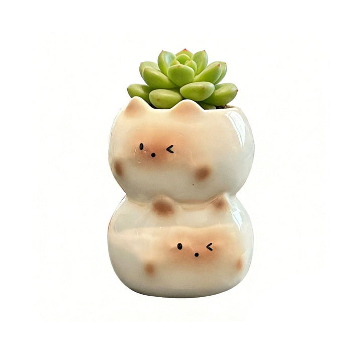 Ceramic Cat Planter
