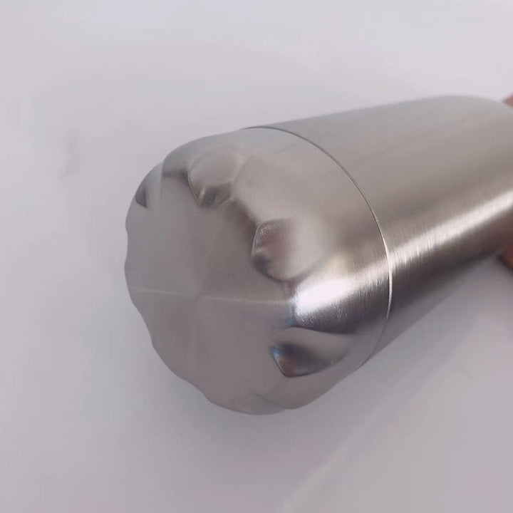 Insulated Stainless Steel Water Bottle Kalsten