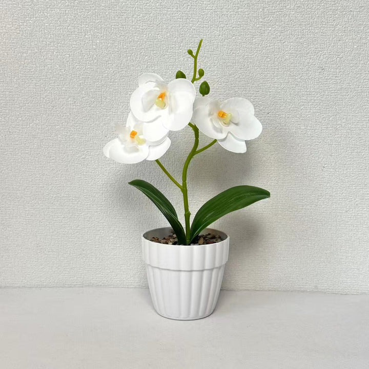 Decorative Artificial Orchid Arrangement for Decorative Home Display