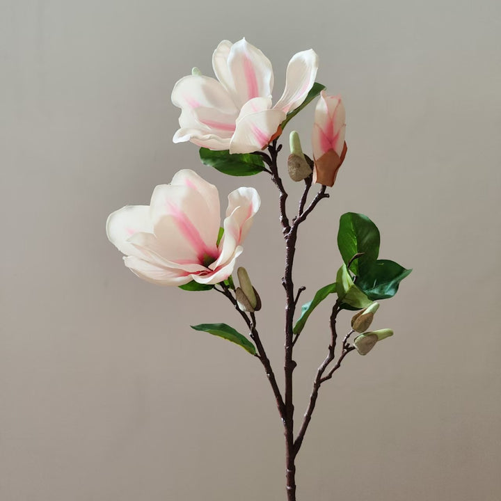 Realistic Magnolia Blossom Stem