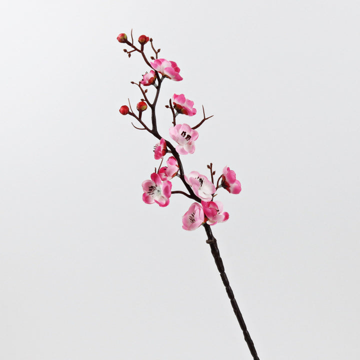 Decorative Floral Arrangement for Home Display