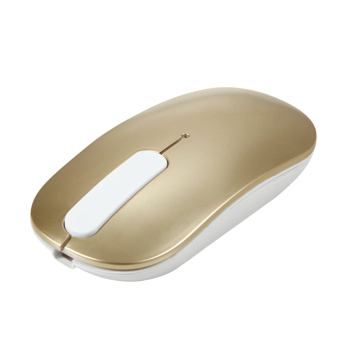 Wireless Ergonomic Mouse Kalsten