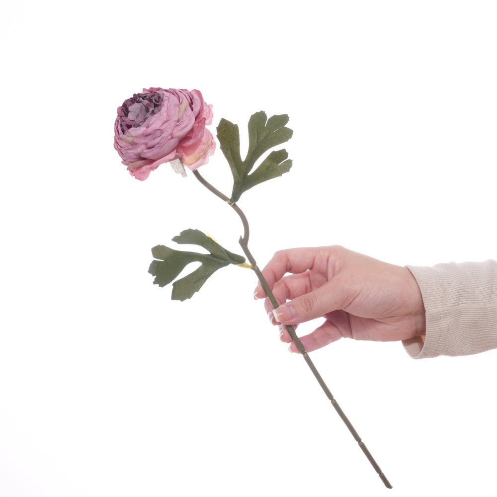 Realistic Floral Stem with Detailed Petals