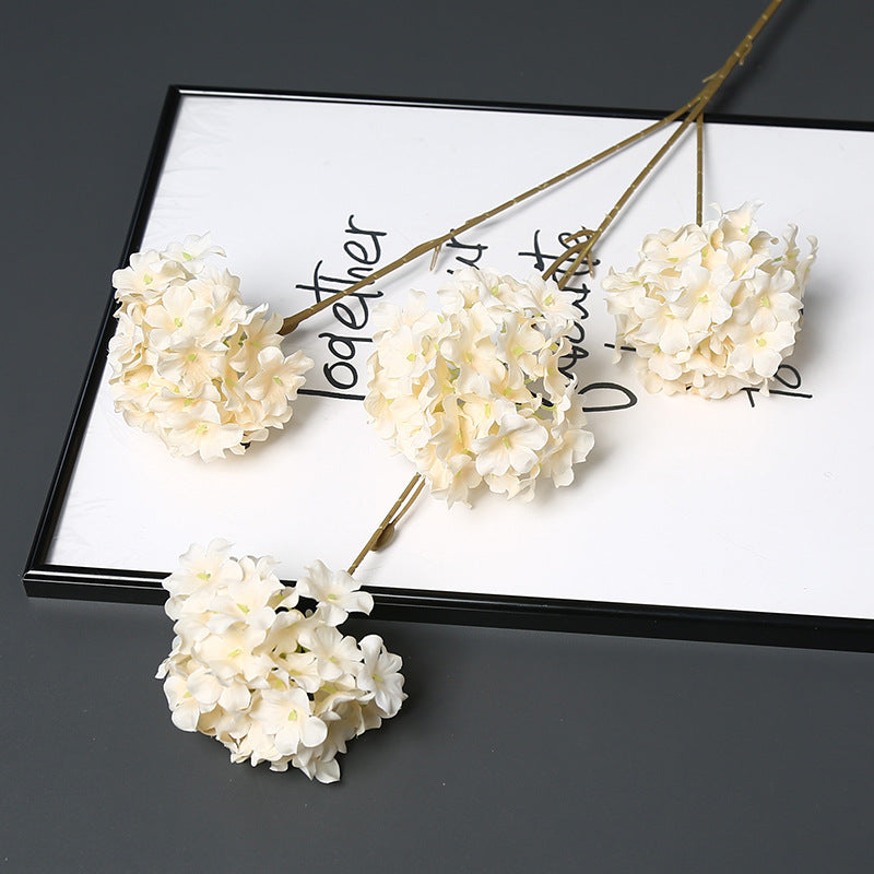 Decorative Dried Floral Stem for Home Decor