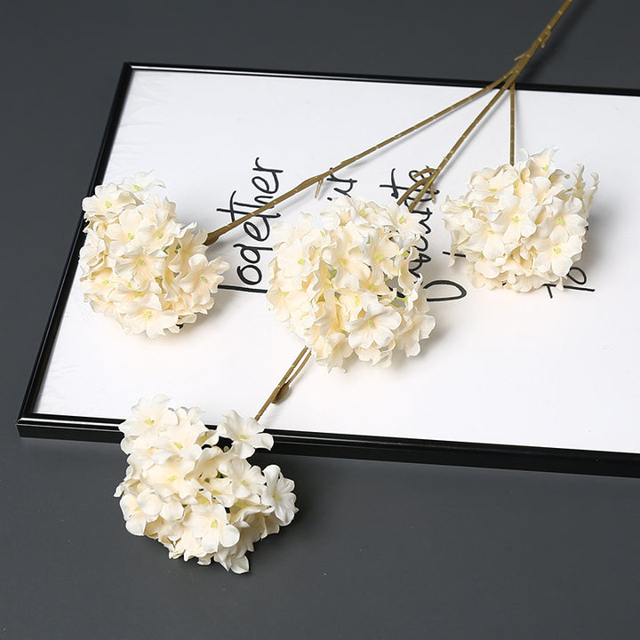 Decorative Dried Floral Stem for Home Decor