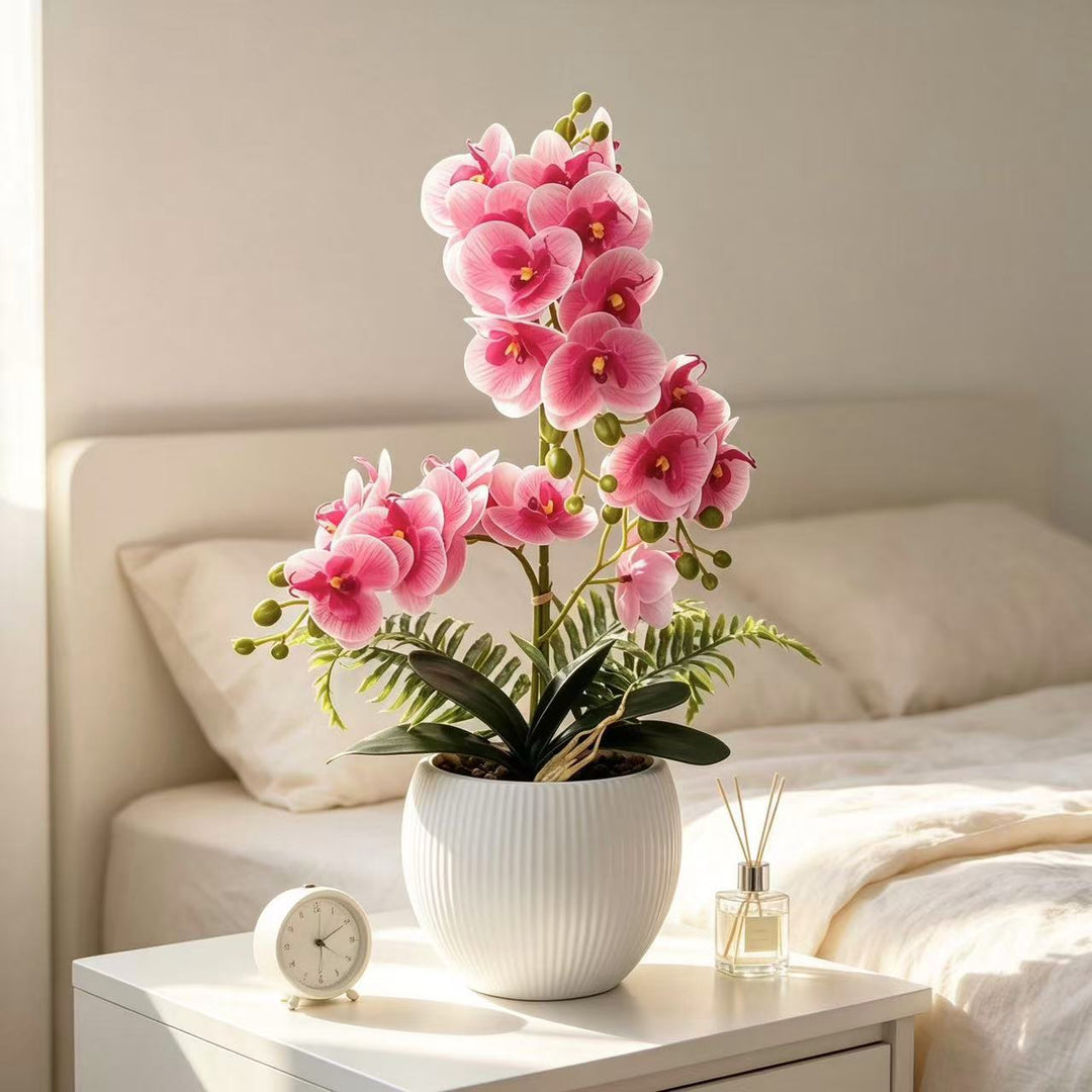 Decorative Orchid Plant for Decorative Home Display