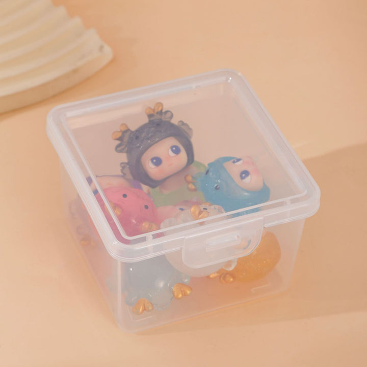 Multi-Functional Transparent Storage Box Kalsten