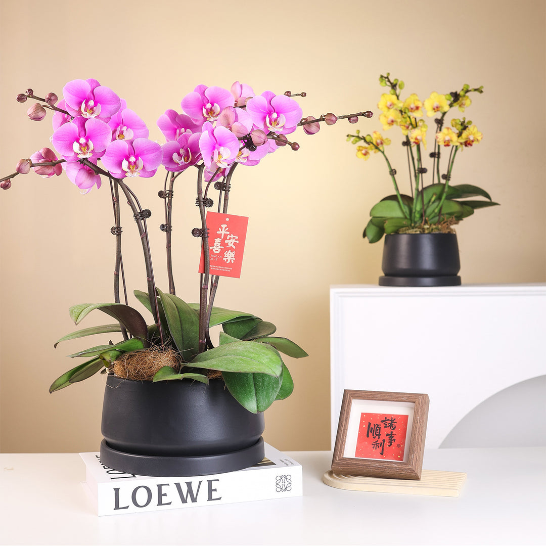 Decorative Bowl for Modern Home Interior Styling
