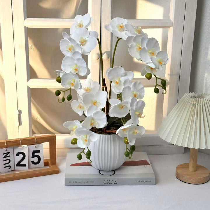 Elegant Orchid Flower Arrangement