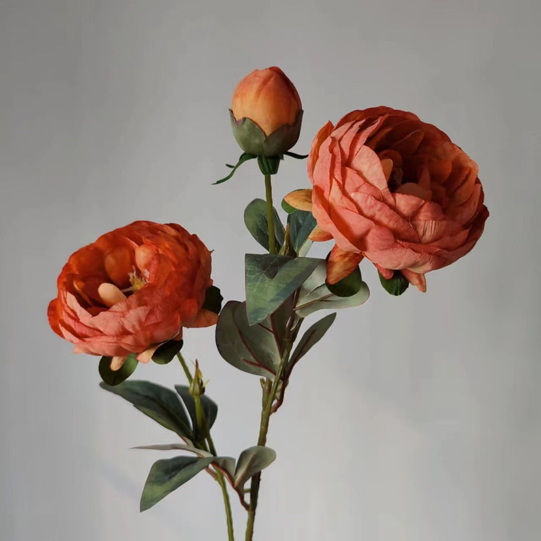 Elegant Peony Flower Stem