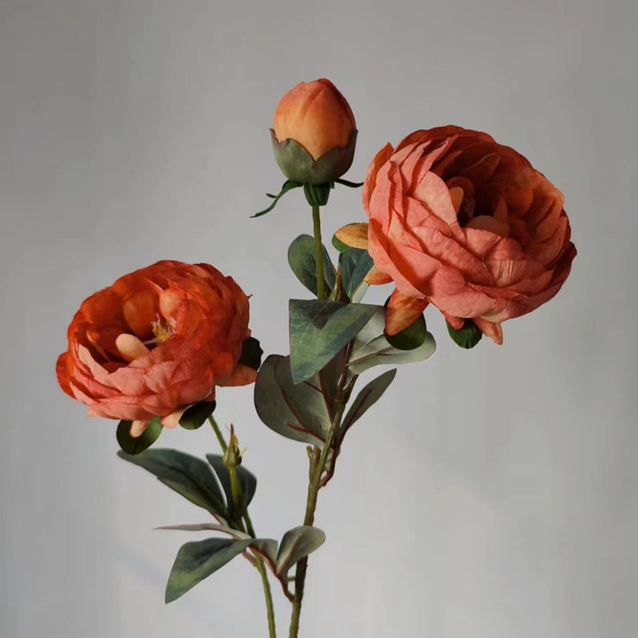 Elegant Peony Flower Stem