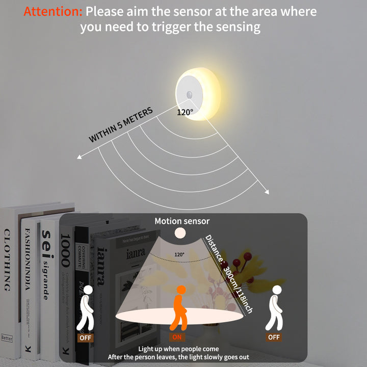 Motion Sensing Smart Light