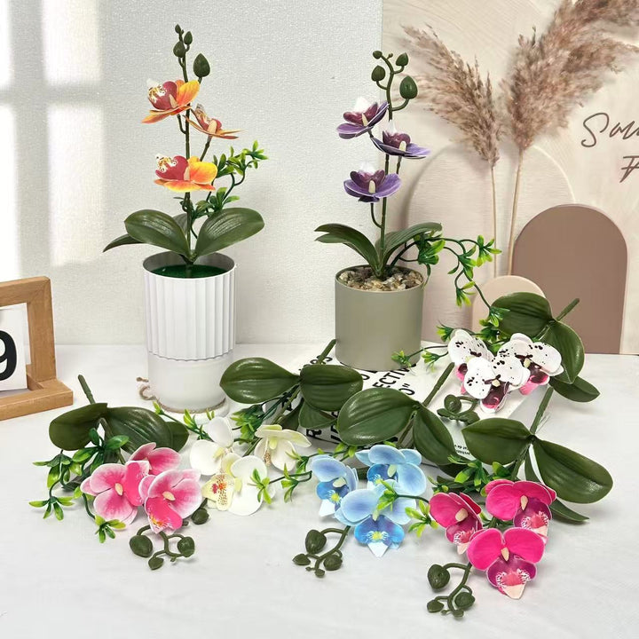 Elegant Orchids Floral Arrangement