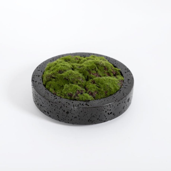 Home decoration Flower pot