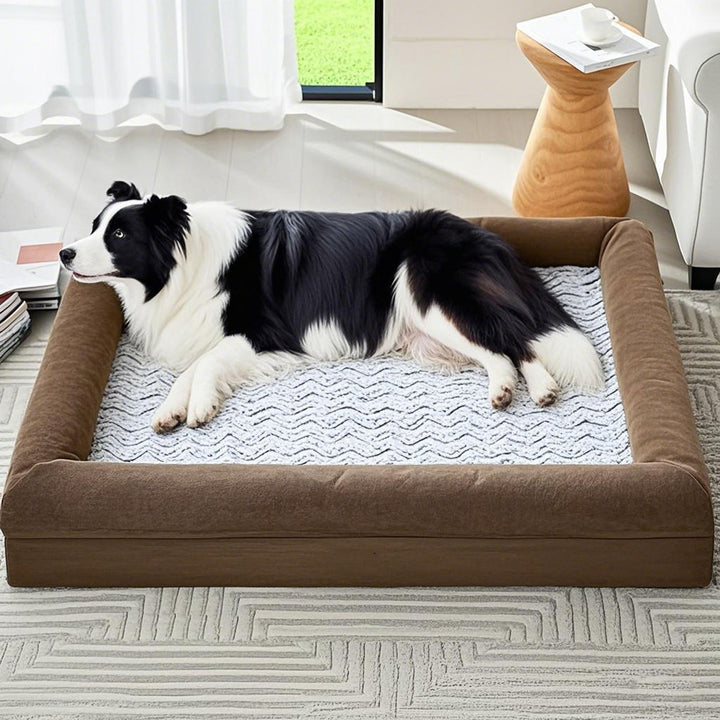 Orthopedic Bolstered  Lounge  Dog Bed