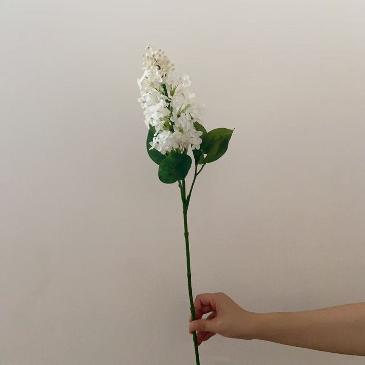 Realistic Lilac Flower Stem