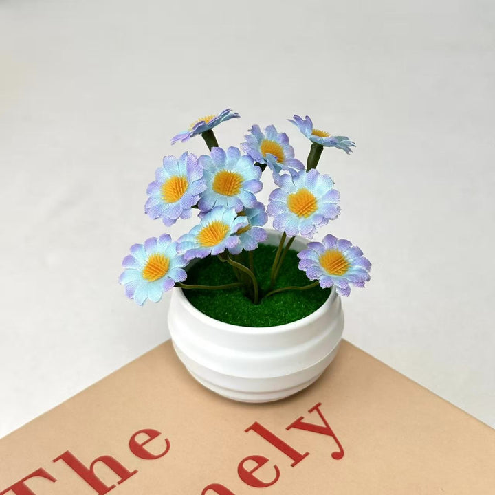 Decorative Daisy Plant Arrangement