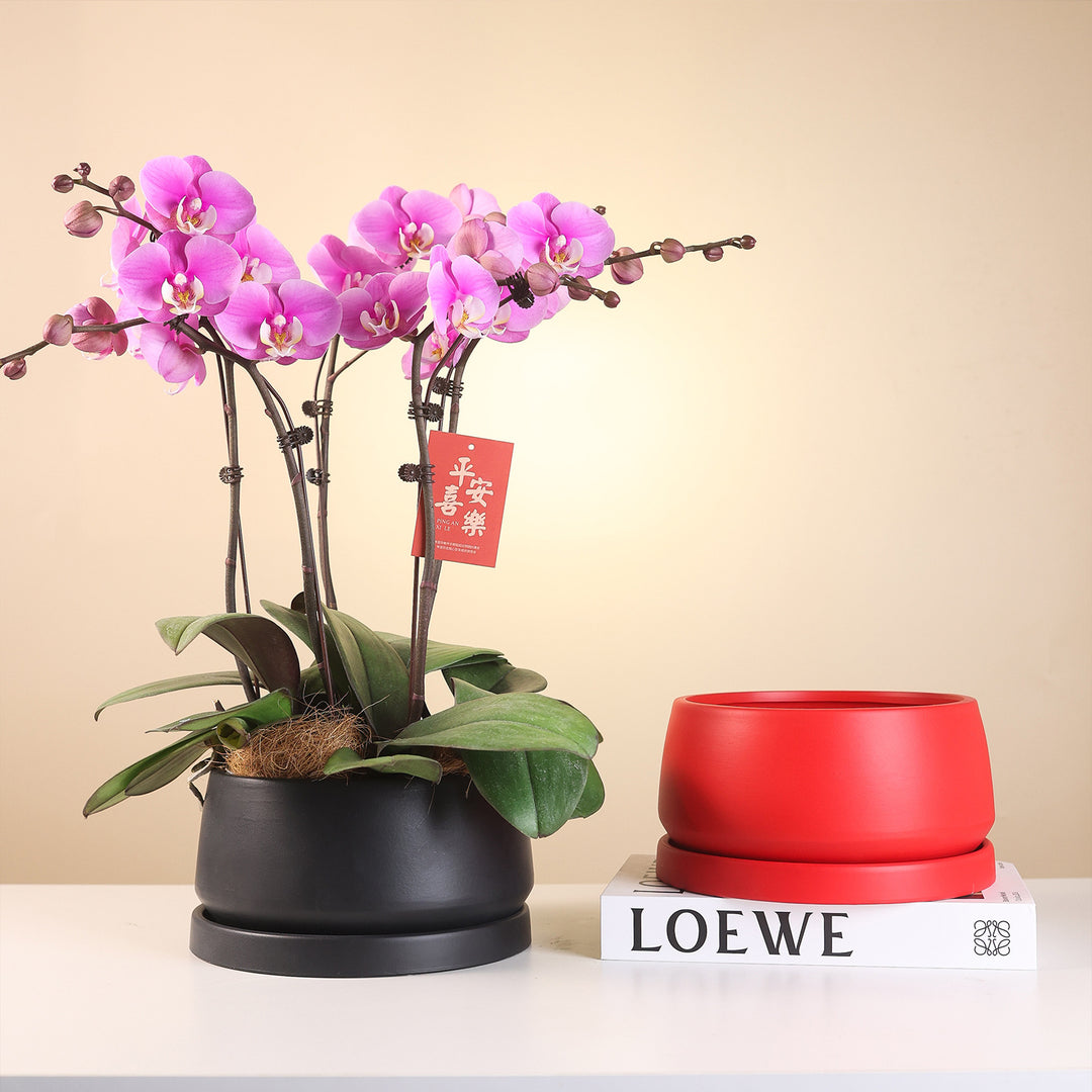 Decorative Bowl for Modern Home Interior Styling