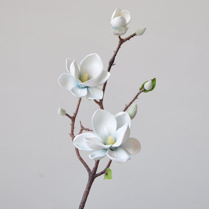 Magnificent Silk Magnolia Flower Stem
