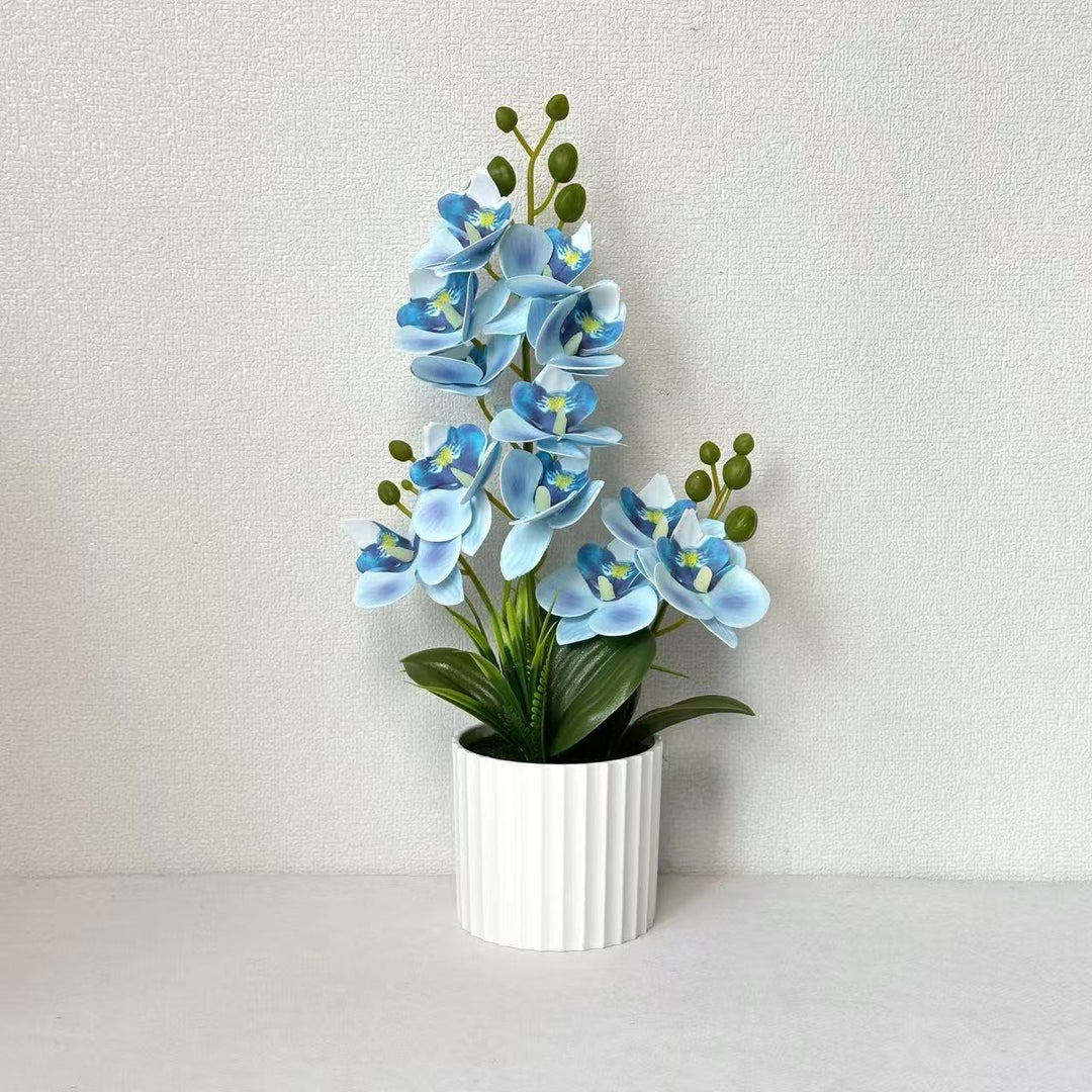 Realistic Indoor Orchid Plant Arrangement