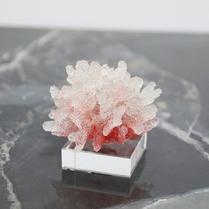 Decorative Coral