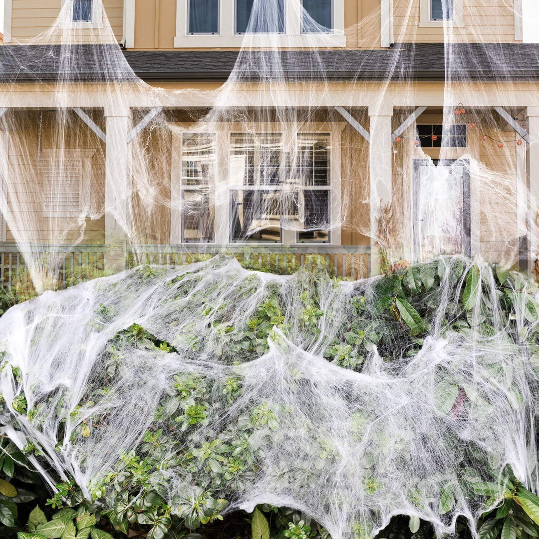 Decorative Spider Web Decor