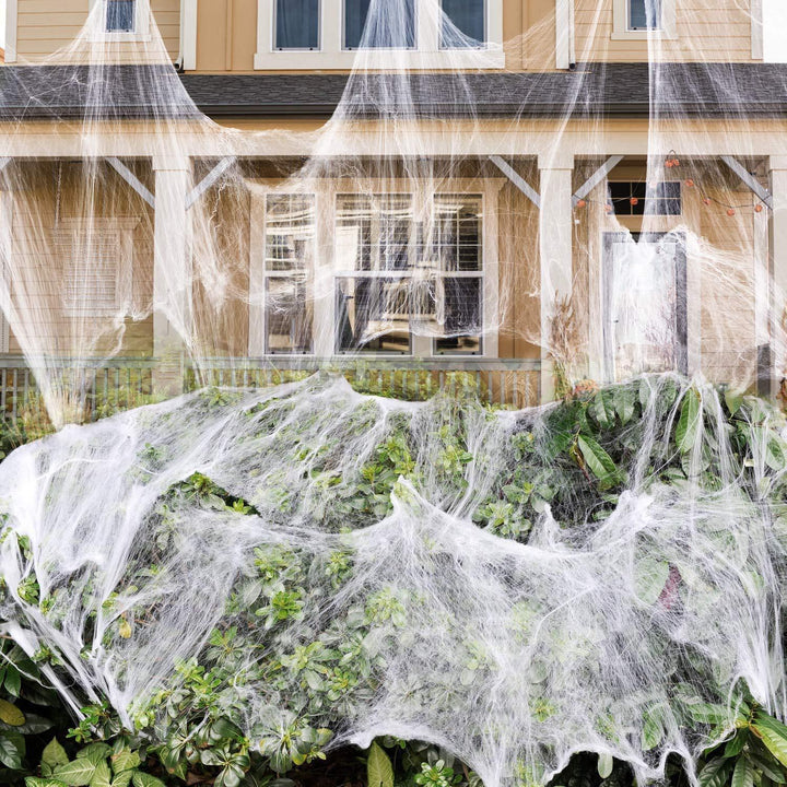 Decorative Spider Web Decor