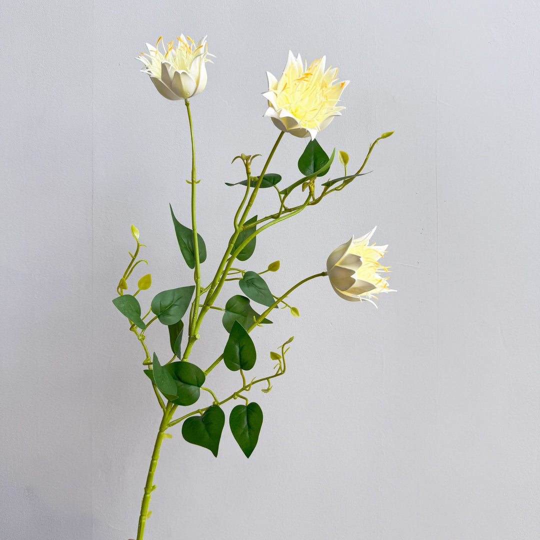 Exotic Flora Arrangement