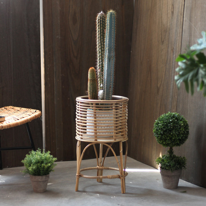 Decorative Plant Table Kalsten