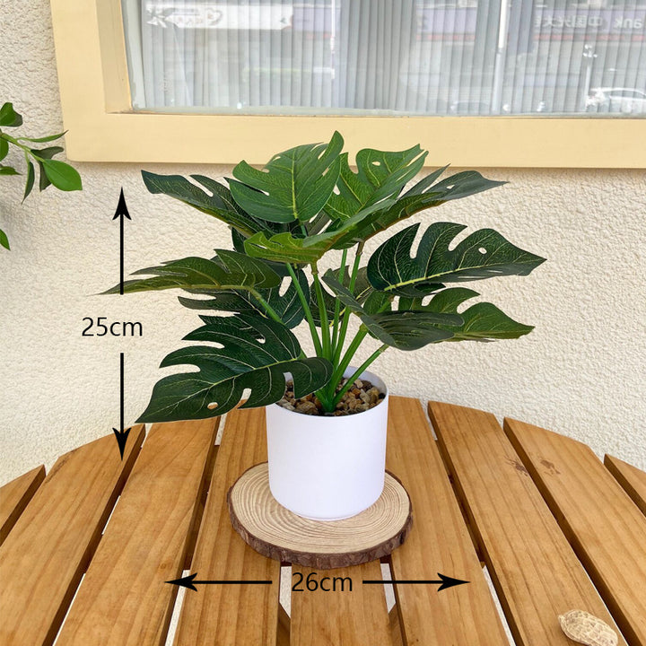 Lifelike Indoor Fern Plant