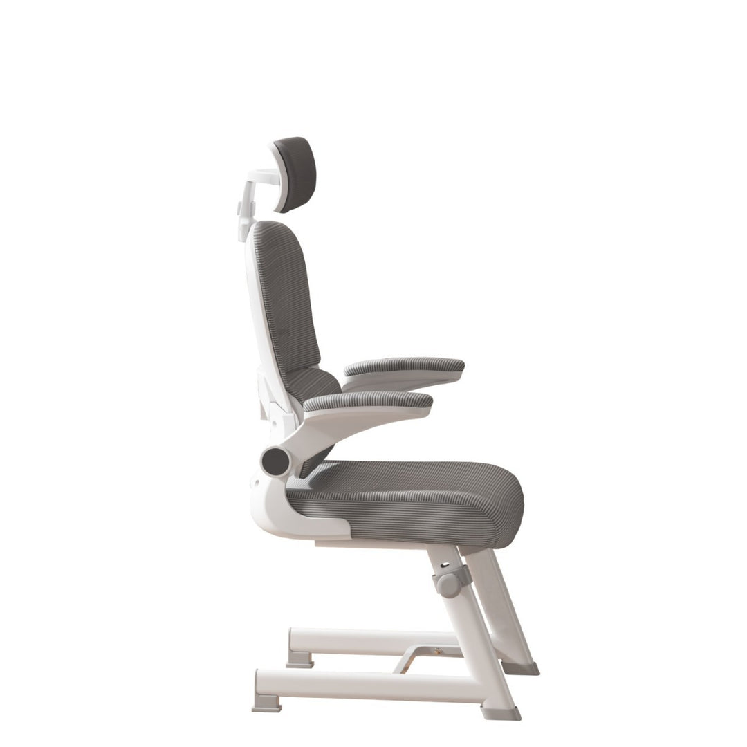 Ergonomic Office Chair Kalsten