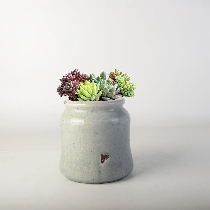 decorative storage pot Kalsten