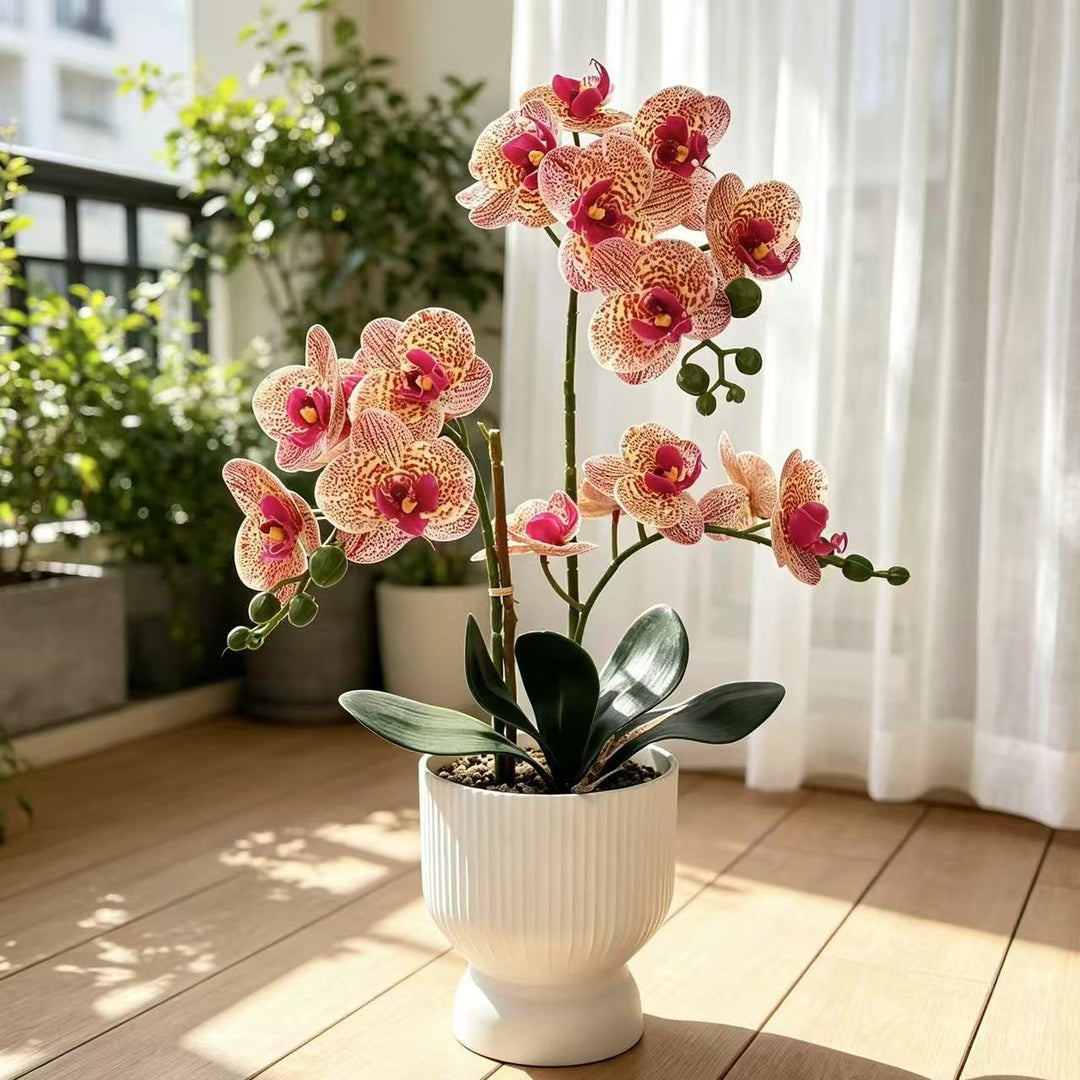 Lifelike Orchid Floral Décor