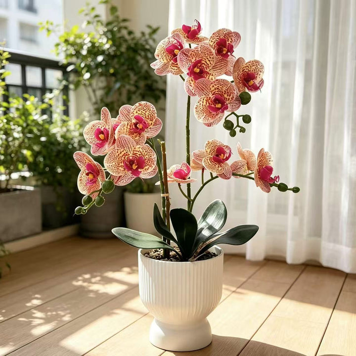 Lifelike Orchid Floral Décor