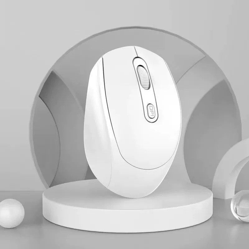 Ergonomic Wireless Mouse Kalsten