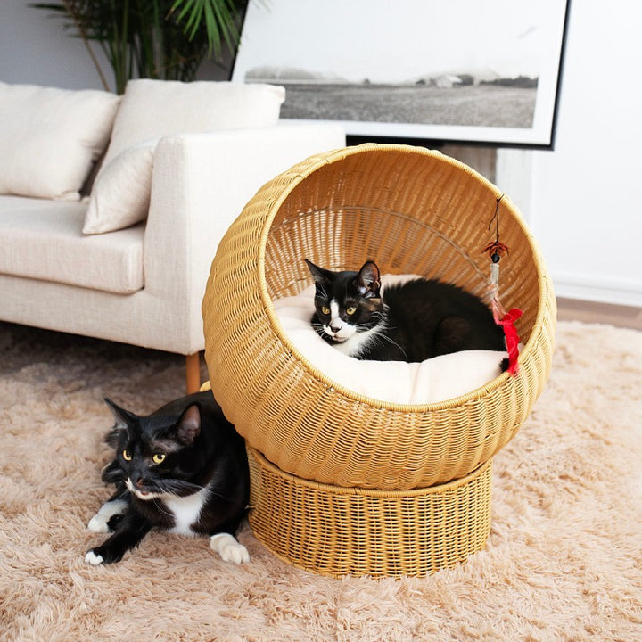 Cat bed with Modern Design Kalsten