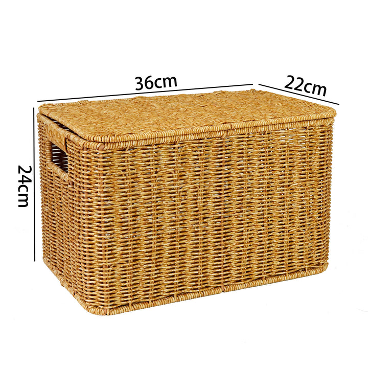 Handwoven Wicker Storage Chest Kalsten