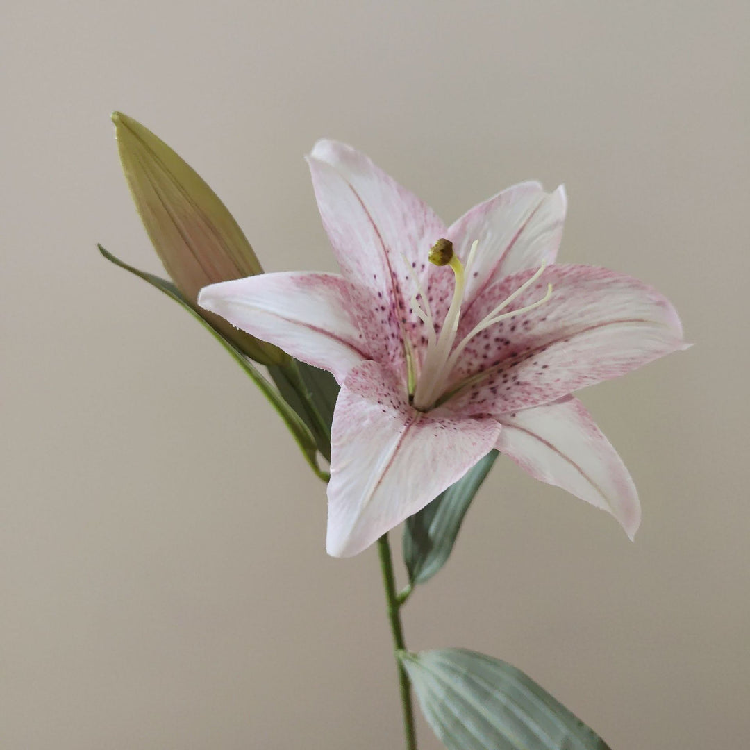 Lifelike Lily Stem