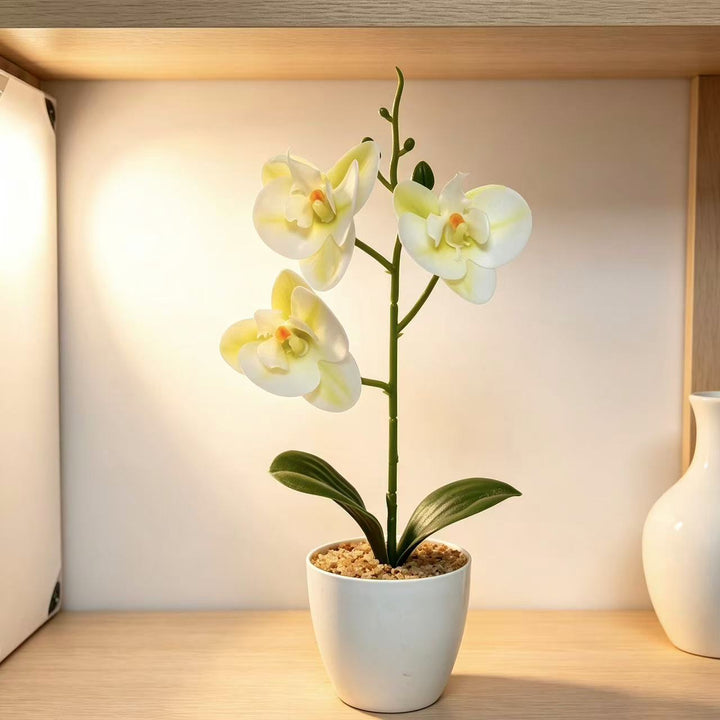Realistic Artificial Orchid Plant for Home Decor Display