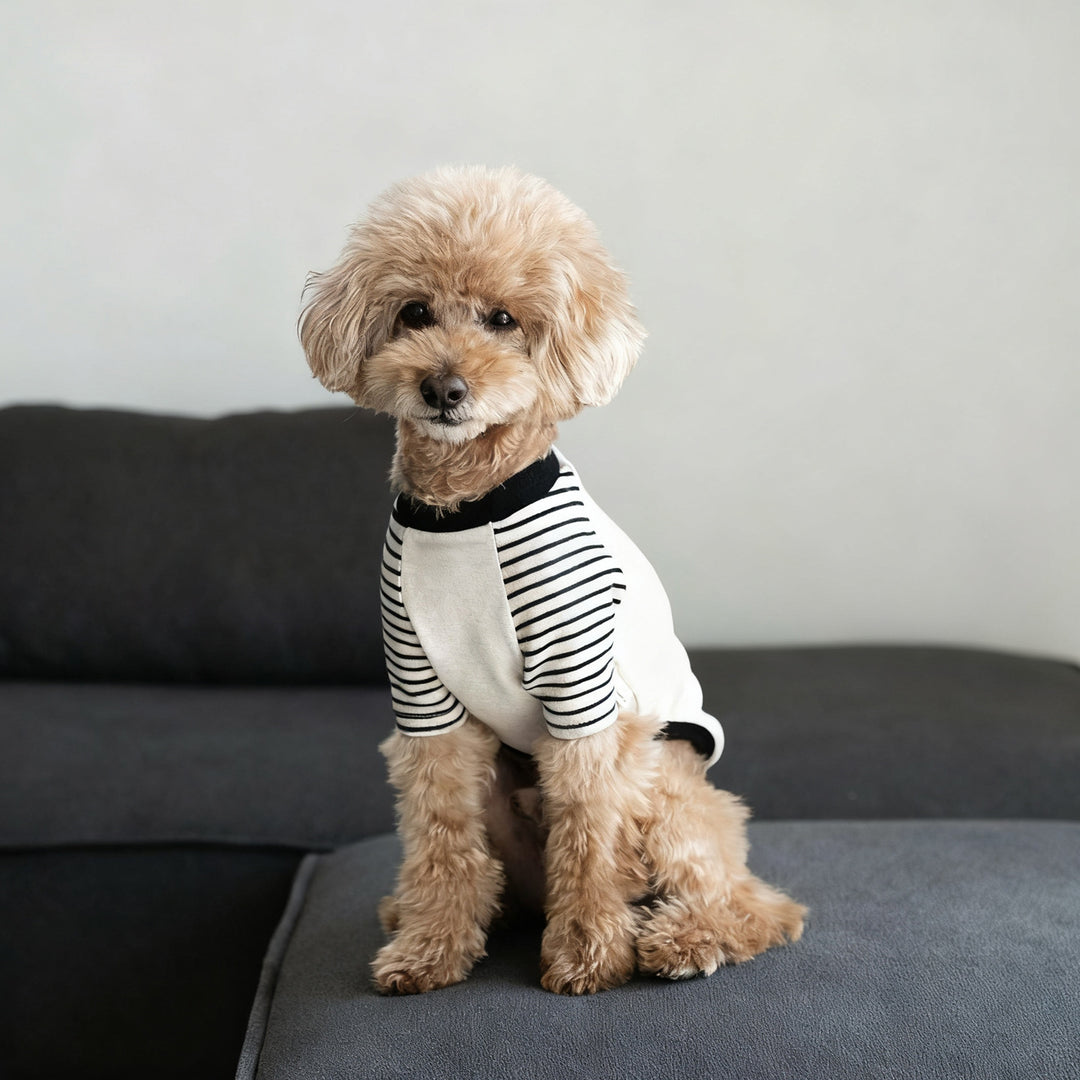 Striped Raglan Sleeve Dog Tee Shirt