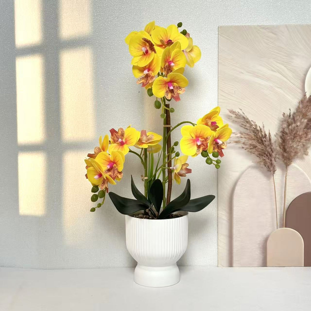 Decorative Orchid Plant Arrangement 1790480695 for Decor