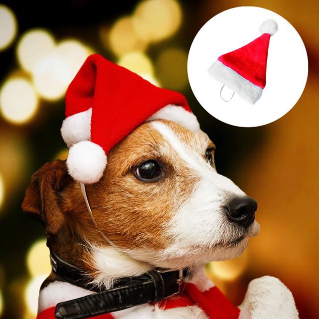 Festive Christmas hat