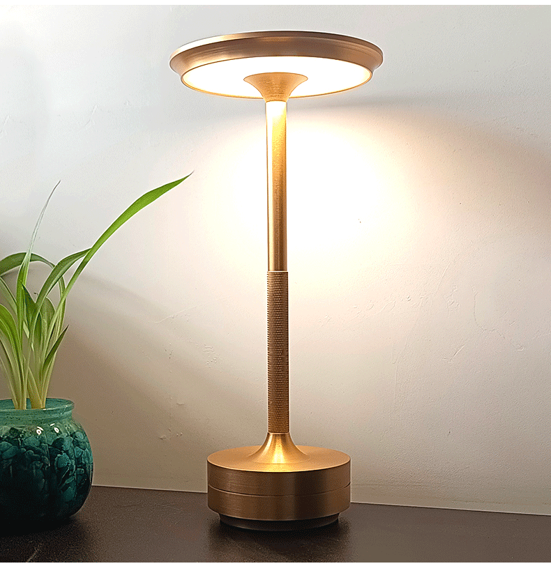 Elegant Desk Lamp for Work and Study Areas