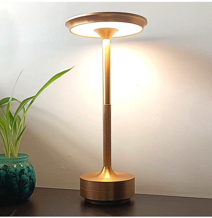 Elegant Desk Lamp for Work and Study Areas