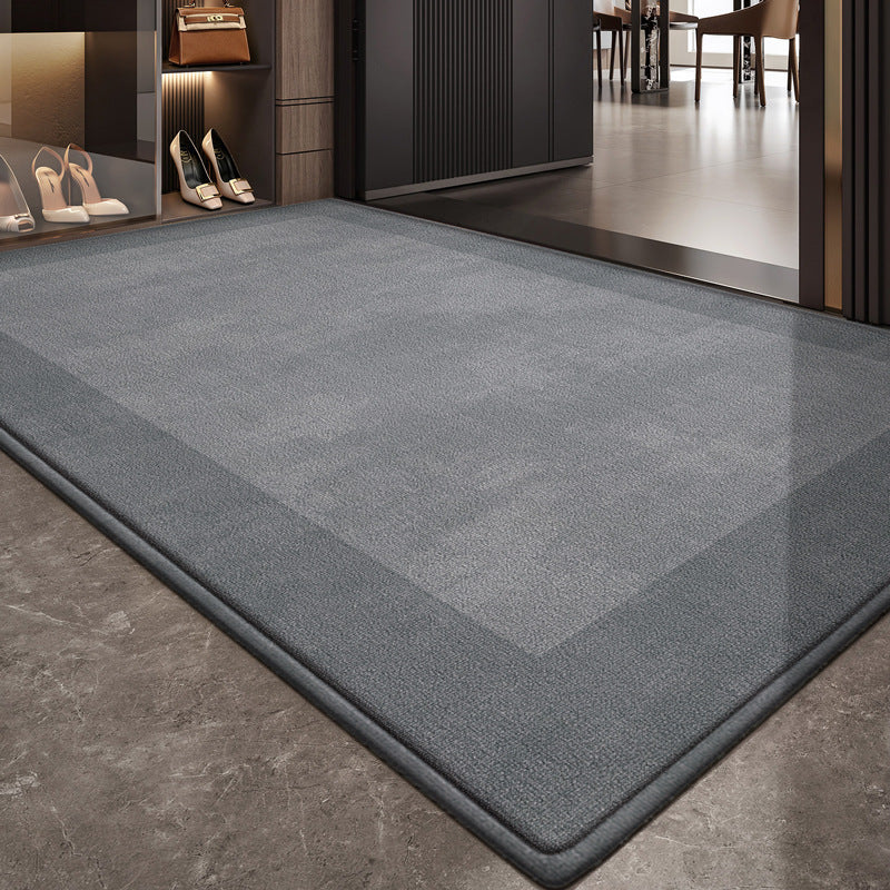 Versatile Indoor Area Rug