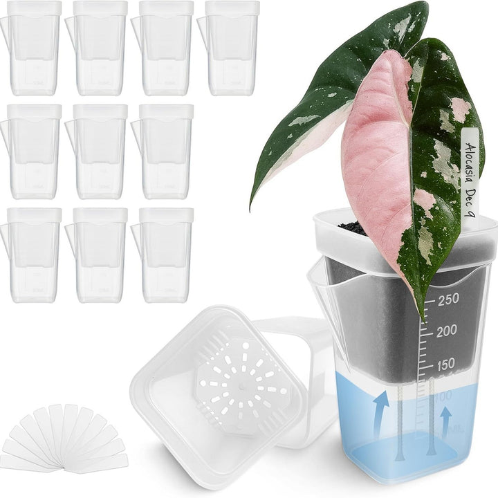 Self-Watering Seed Starter Pot System Kalsten
