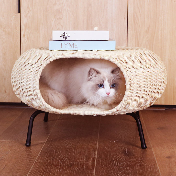Decorative Basket Kalsten