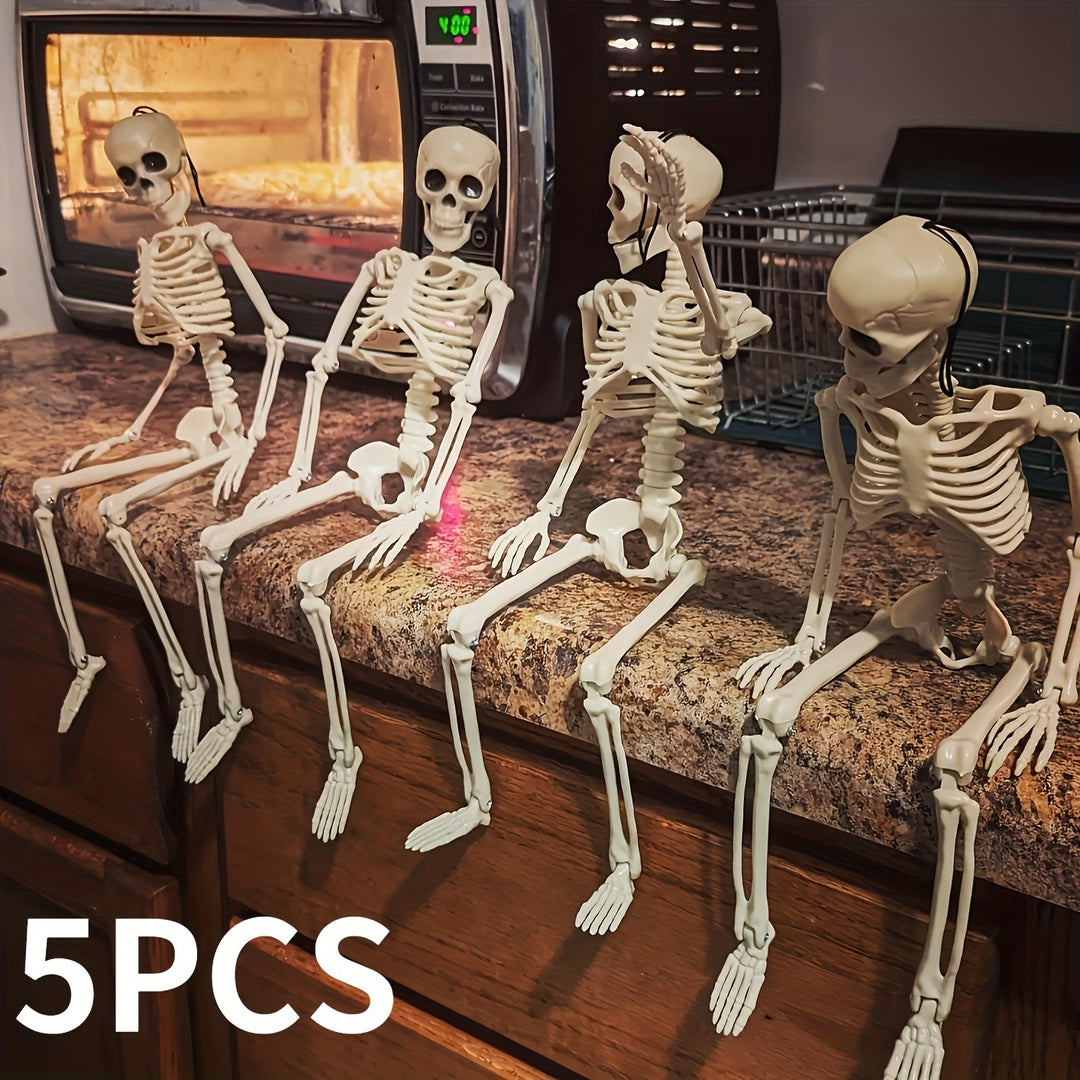Anatomical teaching skeleton