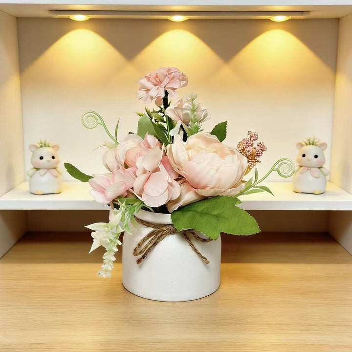 Decorative Ceramic Pot for Home Plant Display